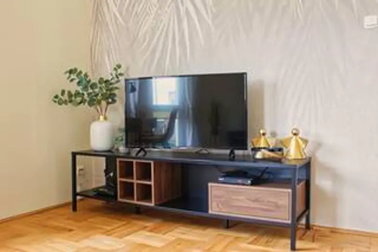 Telewizor na meblach z rośliną i dekoracjami