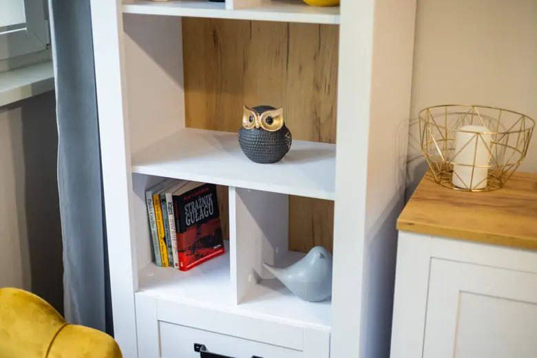 Szafka z półkami, na środku ceramiczna sowa