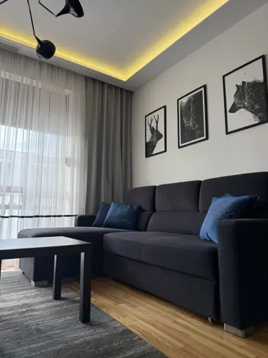 Salon z szarą sofą, obrazami na ścianie i oświetleniem.
