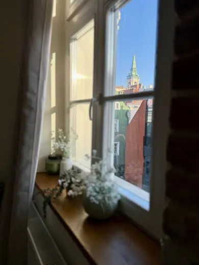 Widok z okna na zewnętrzny mur i rośliny na parapecie.