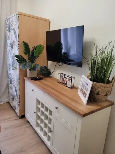 Konsola z drewnianym blatem, telewizor i rośliny.