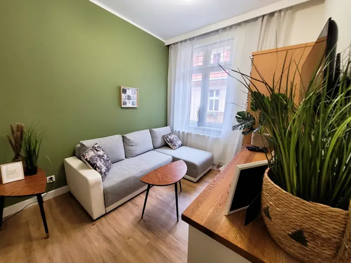 Zielona ściana za sofą, jasna sofa i duże okno