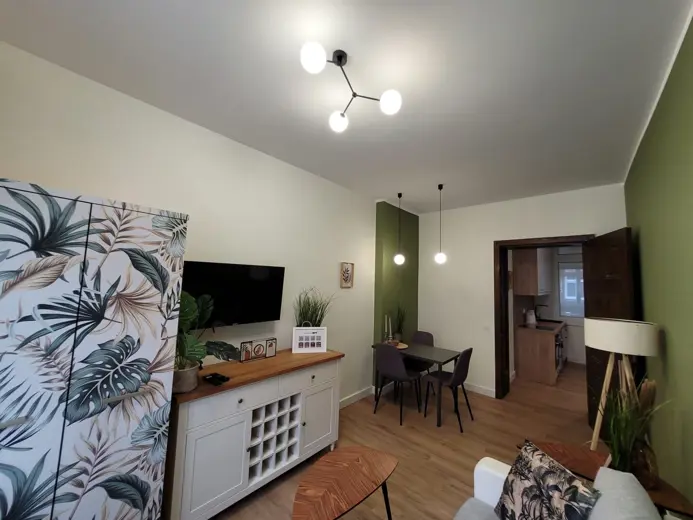 Telewizor na białej szafce, rośliny i sofa