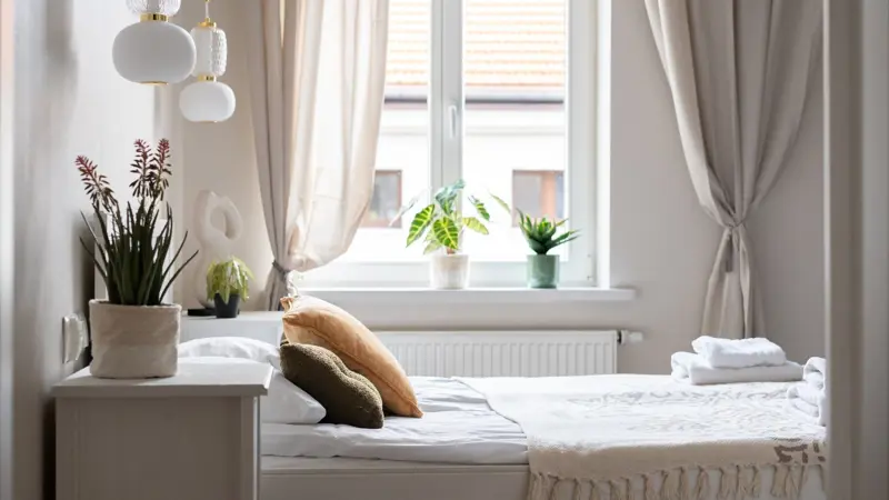 Łóżko z białą pościelą, jasne zasłony i parapet z roślinami