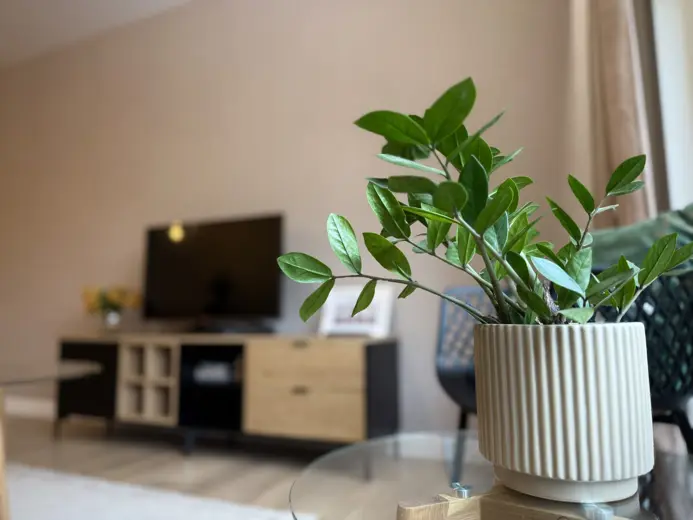 Apartament Logan by Rentoom