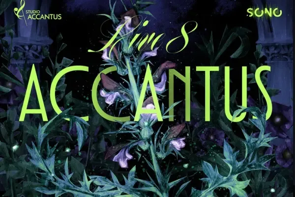 Accantus Live 8 w Toruniu – gdzie zatrzymać się po koncercie w Auli UMK?